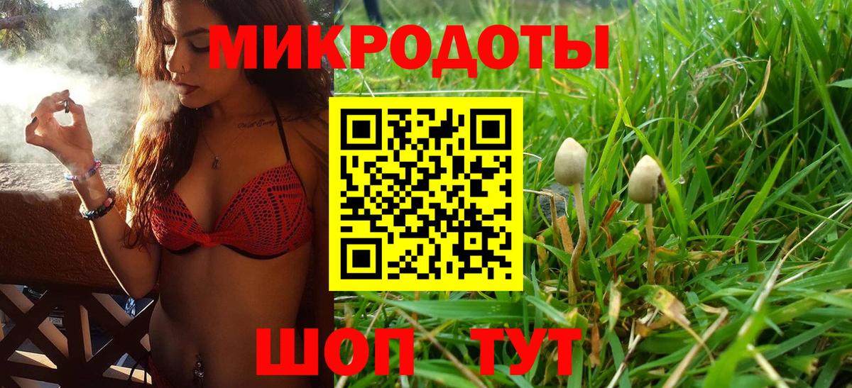 Галлюциногенные грибы прущие грибы  Вход с VPN  Торжок 