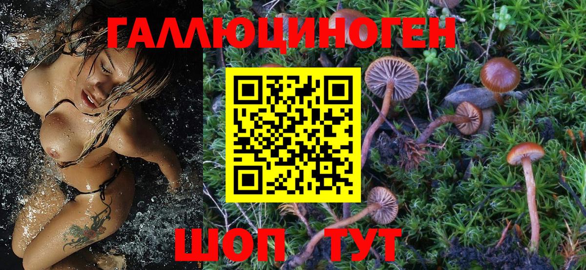 Галлюциногенные грибы GOLDEN TEACHER Торжок