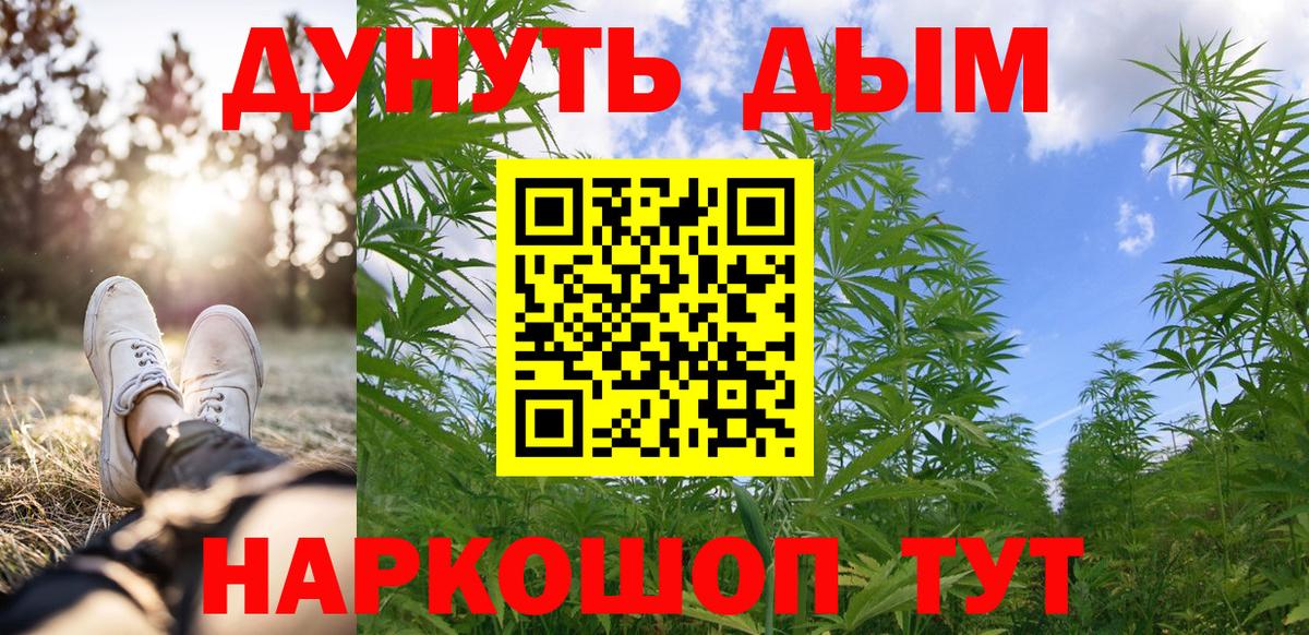 Каннабис конопля Торжок